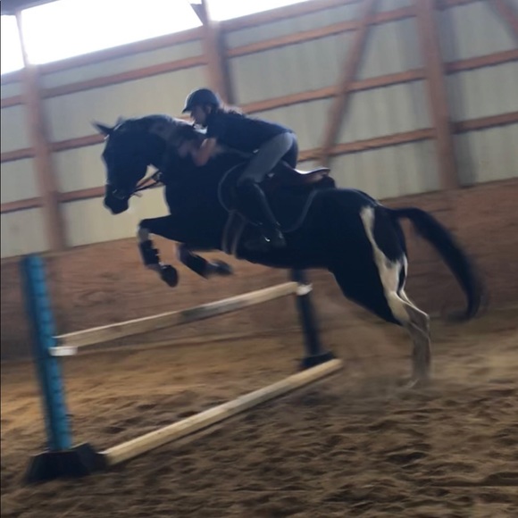 emmyequestrian
